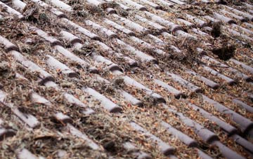 Newsells roof cleaning companies